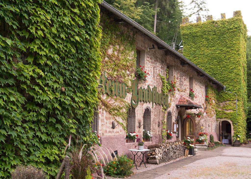 Le Chateau Du Landsberg Барр Экстерьер фото